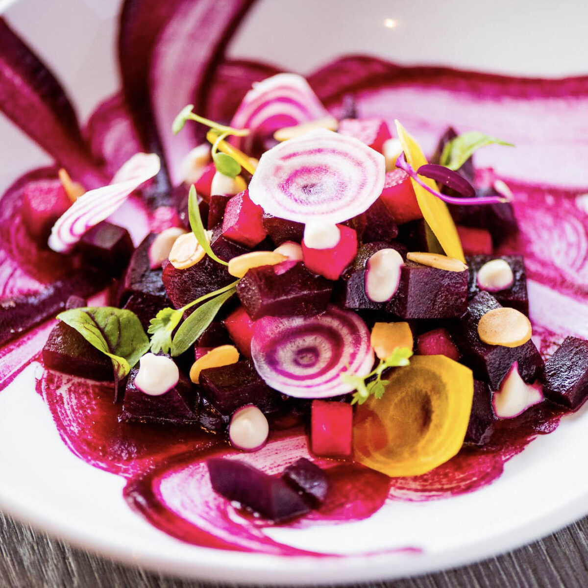 san carlo carnsmedia sq_7